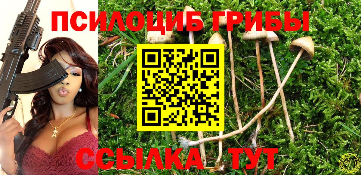 Галлюциногенные грибы Psilocybe Сергиев Посад